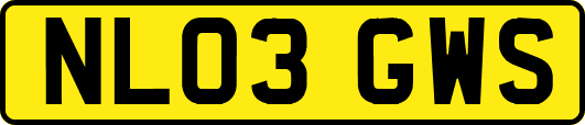 NL03GWS