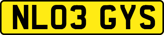 NL03GYS