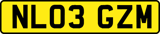 NL03GZM