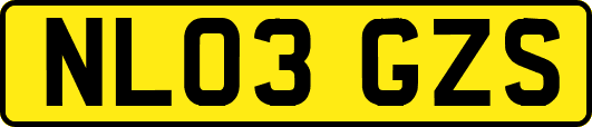 NL03GZS