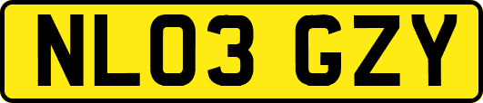 NL03GZY