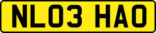 NL03HAO