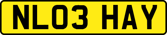 NL03HAY