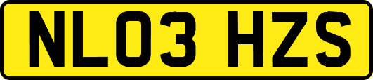NL03HZS