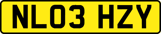 NL03HZY