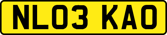 NL03KAO