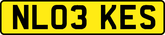 NL03KES