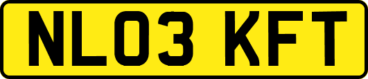 NL03KFT