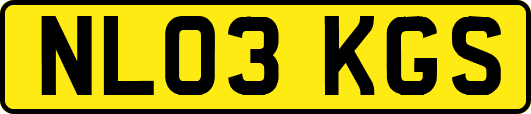 NL03KGS