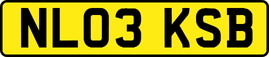 NL03KSB