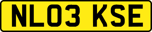 NL03KSE