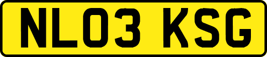 NL03KSG