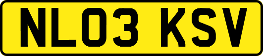 NL03KSV