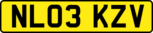 NL03KZV