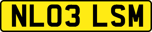 NL03LSM