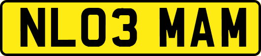 NL03MAM