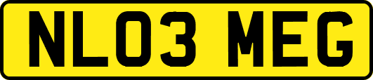 NL03MEG