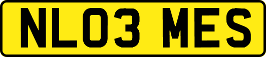 NL03MES