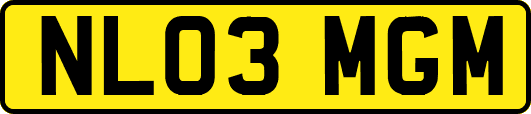 NL03MGM