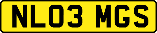 NL03MGS