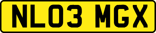 NL03MGX