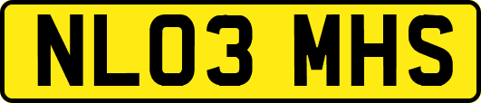 NL03MHS