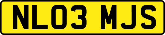 NL03MJS