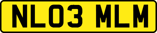 NL03MLM