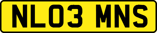 NL03MNS