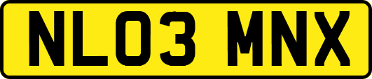 NL03MNX