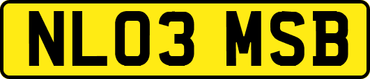 NL03MSB