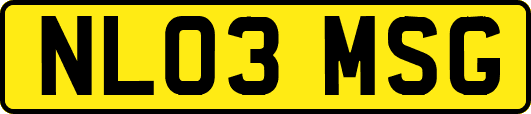 NL03MSG