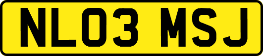 NL03MSJ