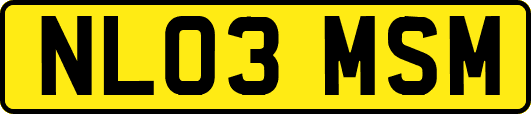 NL03MSM