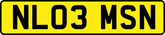 NL03MSN