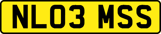 NL03MSS