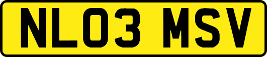 NL03MSV