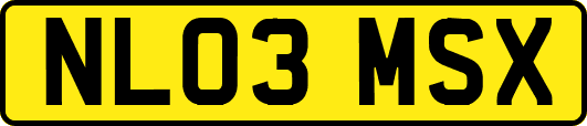NL03MSX