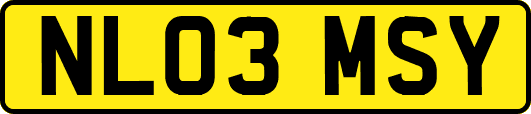 NL03MSY