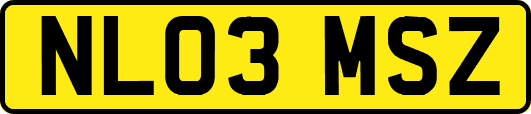 NL03MSZ