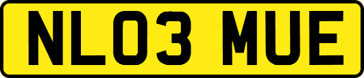NL03MUE