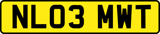 NL03MWT