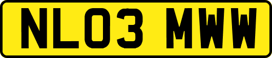 NL03MWW