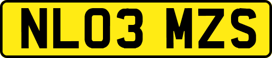 NL03MZS