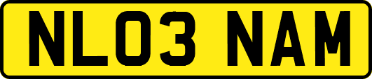 NL03NAM