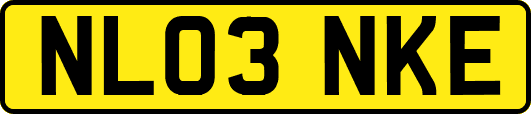 NL03NKE