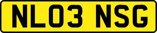 NL03NSG