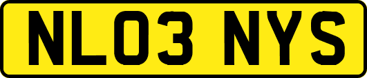 NL03NYS