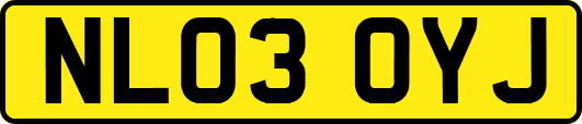 NL03OYJ