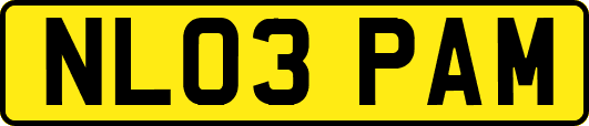 NL03PAM